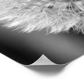 Fluffy White Dandelion Black — White print (Hoek)