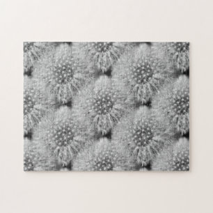 Fluffy White Dandelion Flowers Natuur Legpuzzel