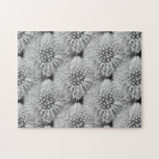 Fluffy White Dandelion Flowers Natuur Legpuzzel (Horizontaal)