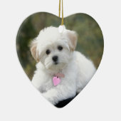 Fluffy White Dog Keramisch Ornament (Rechts)