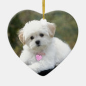 Fluffy White Dog Keramisch Ornament (Voorkant)