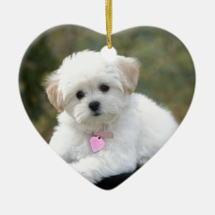 Fluffy White Dog Keramisch Ornament