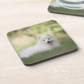 Fluffy White Keeshond Puppy Bier Onderzetter (Linkerzijde)