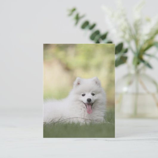 Fluffy White Keeshond Puppy Briefkaart (Staand voorkant)