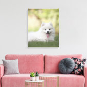 Fluffy White Keeshond Puppy Canvas Afdruk (Insitu (Woonkamer))