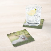 Fluffy White Keeshond Puppy Kartonnen Onderzetters (Insitu)