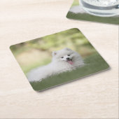 Fluffy White Keeshond Puppy Kartonnen Onderzetters (Schuin)