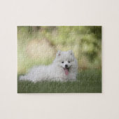 Fluffy White Keeshond Puppy Legpuzzel (Horizontaal)