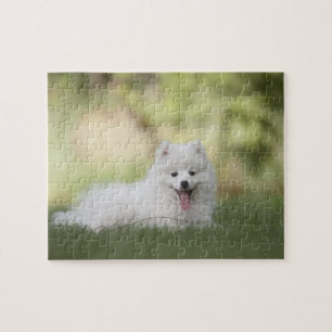 Fluffy White Keeshond Puppy Legpuzzel