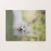 Fluffy White Keeshond Puppy Legpuzzel (Horizontaal)