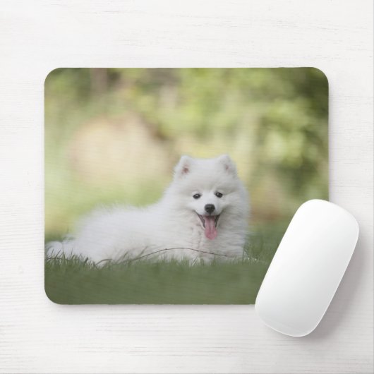 Fluffy White Keeshond Puppy Muismat (Met muis)