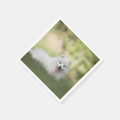 Fluffy White Keeshond Puppy Servet (Hoek)