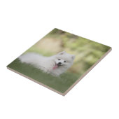 Fluffy White Keeshond Puppy Tegeltje (Zijkant)