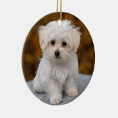 Fluffy White Maltese Puppy Dog Keramisch Ornament (Rechts)