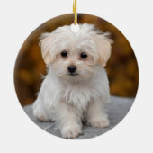 Fluffy White Maltese Puppy Dog Keramisch Ornament (Achterkant)