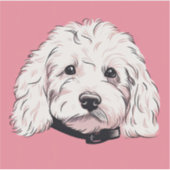 Fluffy White Maltipoo Hond Gezicht Plein Sticker (Voorkant)