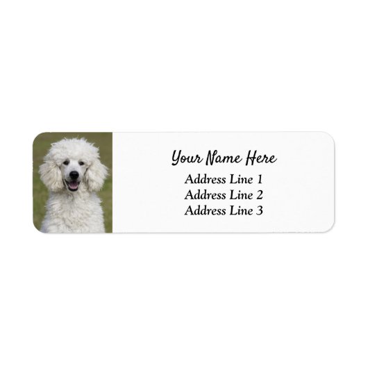 Fluffy White podle Puppy Dog Return Address Label (Voorkant)