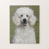 Fluffy White Poodle Puppy Dog Legpuzzel (Verticaal)