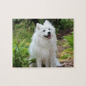 Fluffy White Spitz Puppy Dog Legpuzzel (Horizontaal)