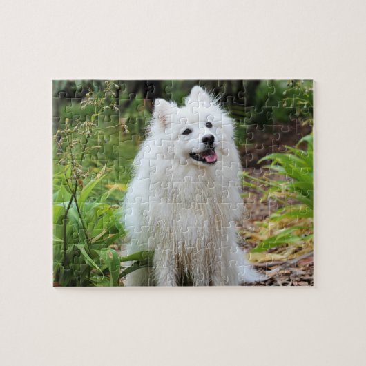 Fluffy White Spitz Puppy Dog Legpuzzel (Horizontaal)