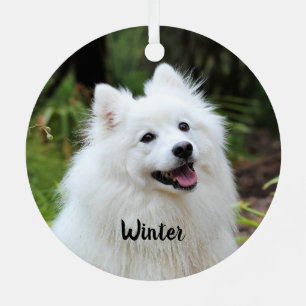 Fluffy White Spitz Puppy Dog Metalen Ornament