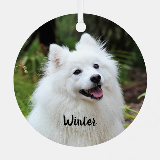 Fluffy White Spitz Puppy Dog Metalen Ornament (Achterkant)