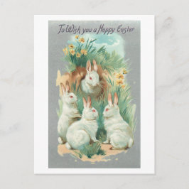 Fluffy White Vintage Easter Bunnies Feestdagenkaart