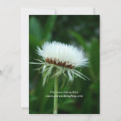 Fluffy wit plant hoofd zomerbruiloft kaart (Achterkant)