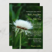 Fluffy wit plant hoofd zomerbruiloft kaart (Voorkant / Achterkant)