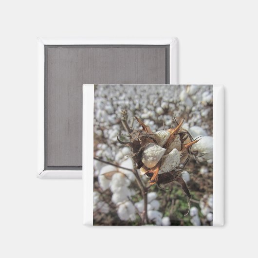 Fluffy witte katoenen bollen magneet (Voorkant / Achterkant)