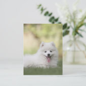 Fluffy witte Keeshond Puppy Briefkaart (Staand voorkant)