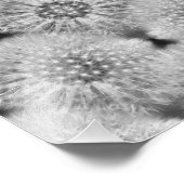 Fluffy Witte Paardebloemen Abstracte Natuur 8x10 Foto Afdruk (Hoek)