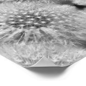 Fluffy Witte Paardenbloemen Abstracte Natuur Poster (Hoek)