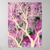 Fluisteren van het Woodland Poster (Voorkant)