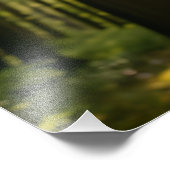 Fluisterend Woud Foto Afdruk (Hoek)