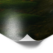 Fluisterend Woud Foto Afdruk (Hoek)