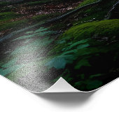 Fluisterend Woud Foto Afdruk (Hoek)