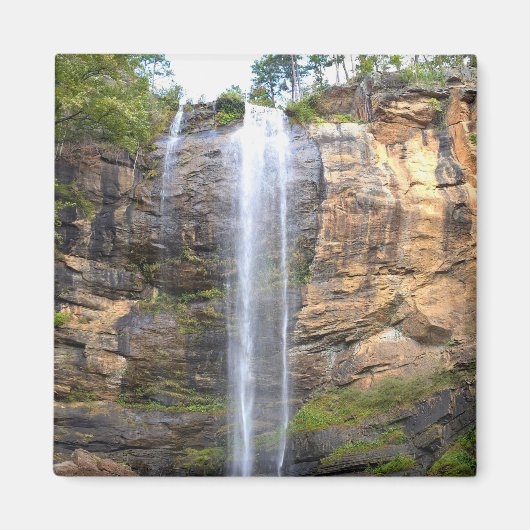 Fluisteringen van Toccoa Falls Magneet (Voorkant)