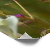 Fluisteringen van Wilde Bloemen Poster (Hoek)