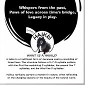 FLUISTERT HET VERLEDEN. Chow Lapphund shirten Trui