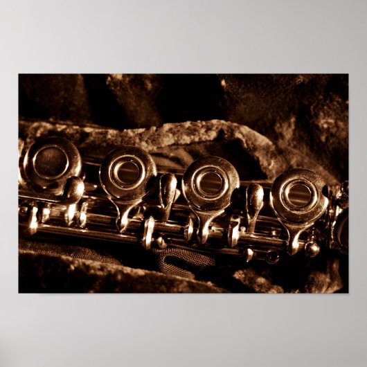Fluit Foto Poster (Voorkant)