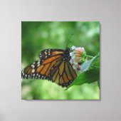 Fluitend monarchvlinderdoek canvas afdruk (Voorkant)