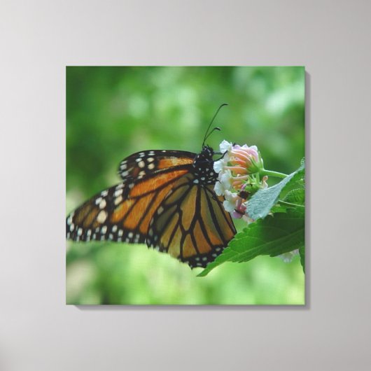 Fluitend monarchvlinderdoek canvas afdruk (Voorkant)