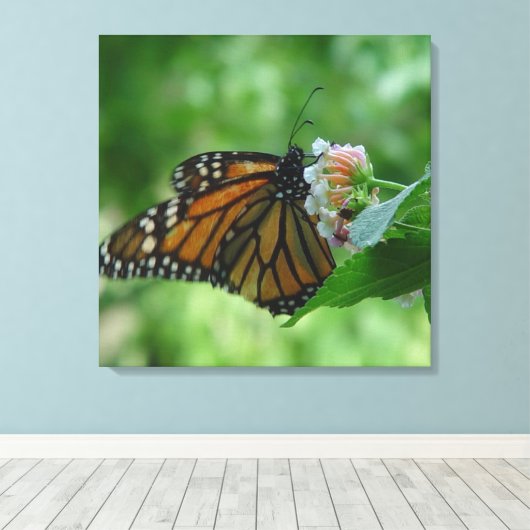 Fluitend monarchvlinderdoek canvas afdruk (Insitu (Houten vloer))