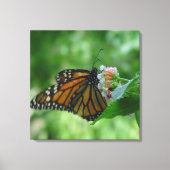 Fluitend monarchvlinderdoek canvas afdruk (Voorkant)