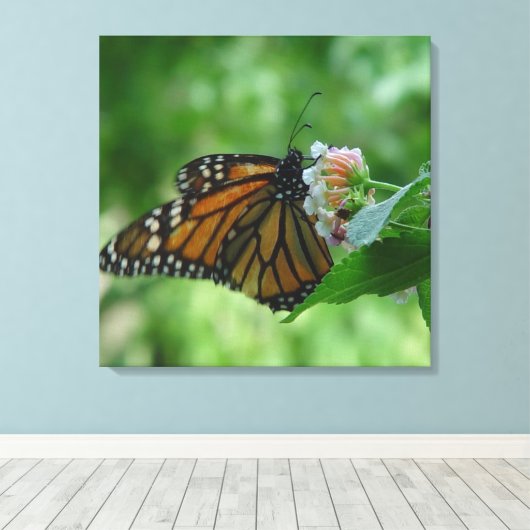 Fluitend monarchvlinderdoek canvas afdruk (Insitu (Houten vloer))