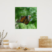 Fluitende monarchvlinder op bloem poster (Keuken)