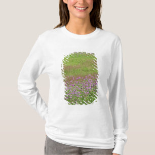 Fluitenkruid (Daucus carota) groeiend T-shirt