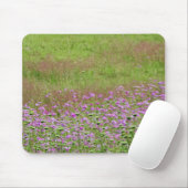 Fluitenkruid (Daucus carota) in groei Muismat (Met muis)