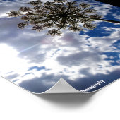 Fluitenkruid in bewolkte luchten poster (Hoek)